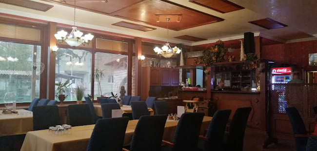 Comentarii opinii despre Sir Higgins