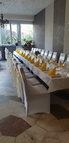 Comentarii opinii despre Domino