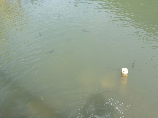 Koliba Fatranka - Ružomberok