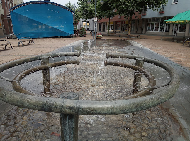 Moravská, 020 01 Púchov