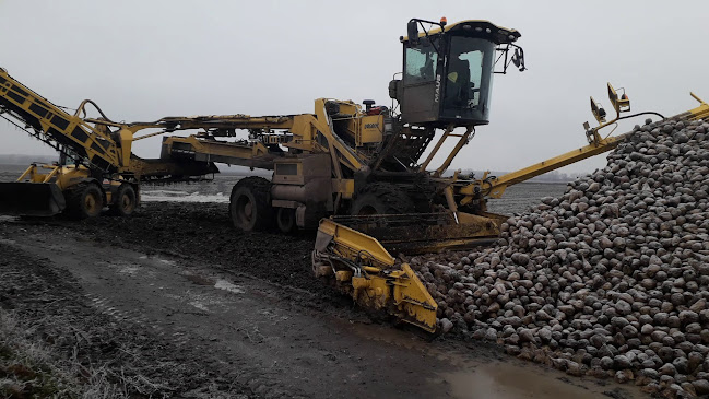 Reštaurácia MYB Club (U bosorky) - Gastronómia a pohostinstvo