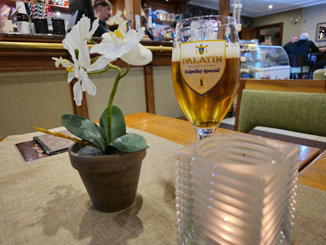 Cukráreň Mier - Gastronómia a pohostinstvo