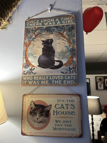 Mačkafé klub - Bratislava