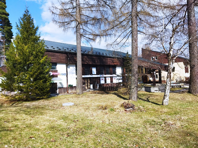 Opinii despre V Pohode în Vysoké Tatry - Gastronómia a pohostinstvo