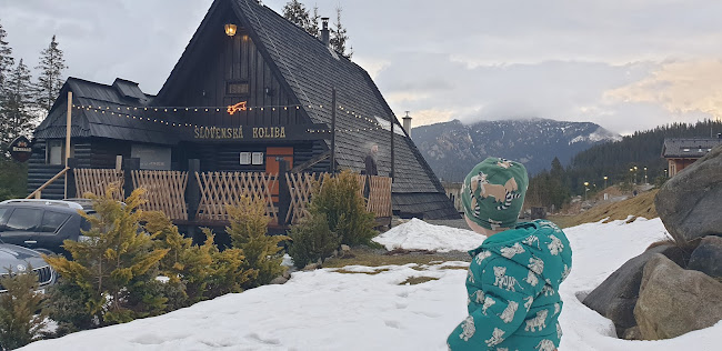 Demänovská Dolina 73, 031 01 Demänovská Dolina