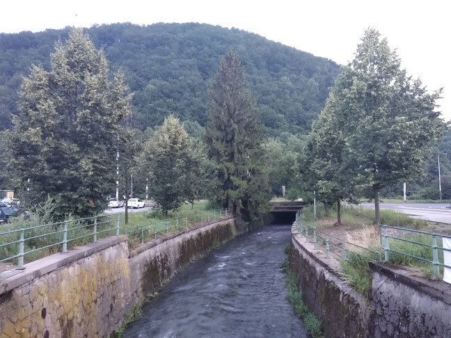 Dolná, 97401 Banská Bystrica, 974 01