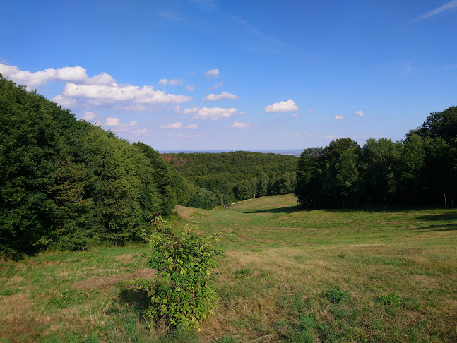 Opinii despre Schoppa restaurant în Nové Mesto - Gastronómia a pohostinstvo