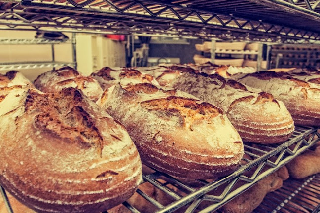 Dukelská 23, 017 01 Považská Bystrica