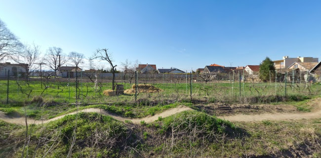 Pražiareň kávy Čierna Perla_Black Pearl