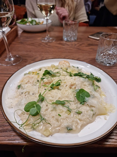 Opinii despre Gatto Matto Panská în Bratislava - Gastronómia a pohostinstvo