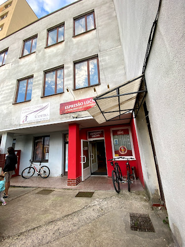 Lúčna 819/3, 093 01 Vranov nad Topľou