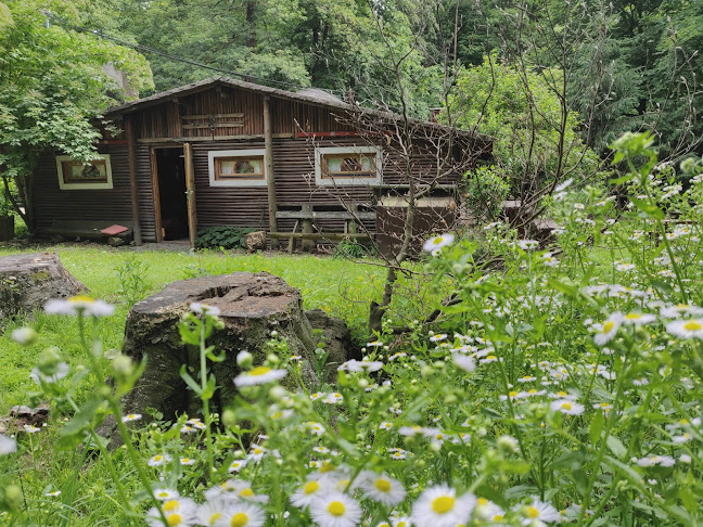 Comentarii opinii despre Bufet u KRKA