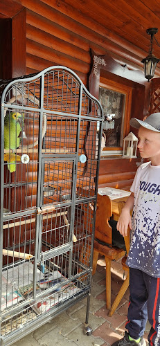 Zmrzlina u Beda - Gastronómia a pohostinstvo