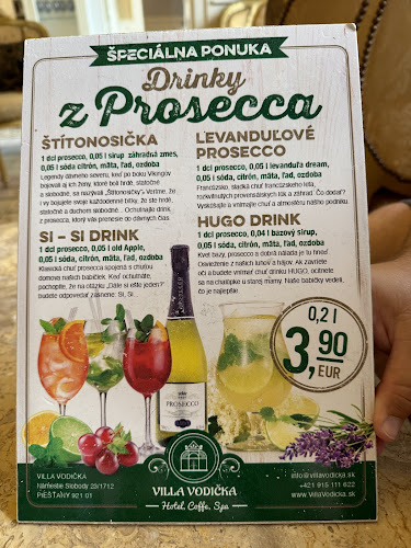 Opinii despre Villa Vodička în Piešťany - Gastronómia a pohostinstvo