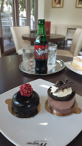 Comentarii opinii despre Wagner