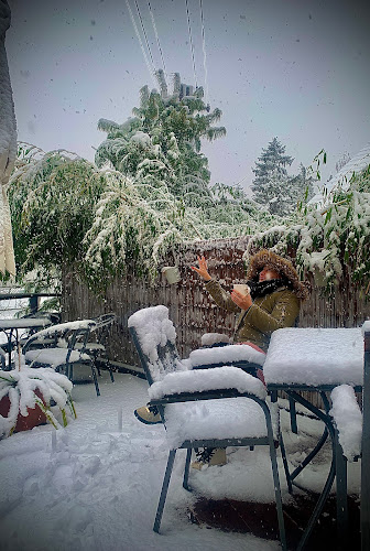 Reštaurácia Devín