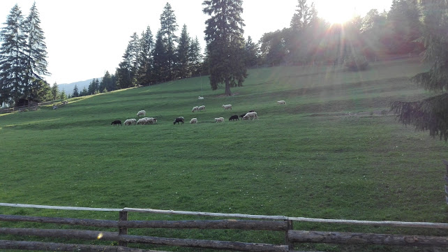Koliba u Dobrého pastiera - penzión a reštaurácia
