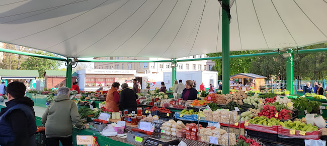 Ernestova bašta 224, 940 02 Nové Zámky