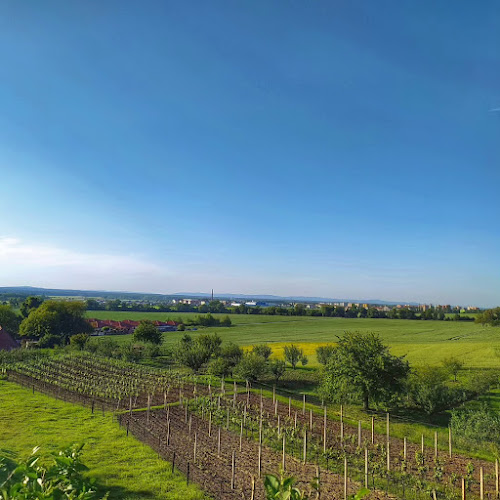 Reštaurácia na Golfe - Gastronómia a pohostinstvo