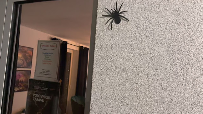 cafeLawaj - Streženice