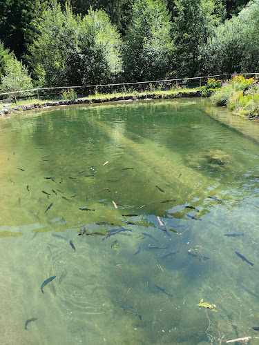Koliba u Dobrého pastiera - penzión a reštaurácia - Ružomberok