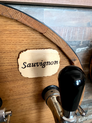 Comentarii opinii despre VineVille