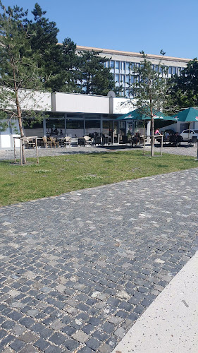 Comentarii opinii despre Savage Bistro Bar & Restaurant