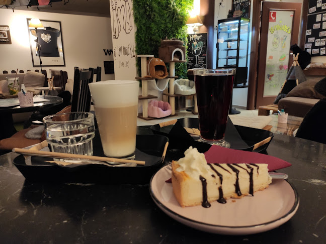 Mačkafé klub - Bratislava