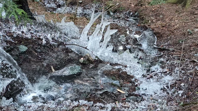 Klinger - Bufet - Gastronómia a pohostinstvo