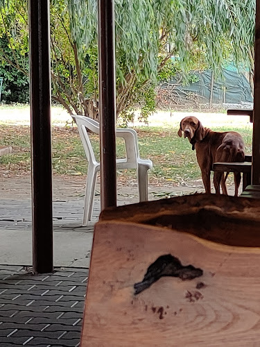 Koleno Bufet Hk Slovan Duslo Šaľa