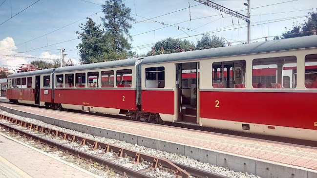 Comentarii opinii despre Minibistro