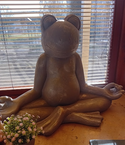 Opinii despre Sir Higgins în Štúrovo - Gastronómia a pohostinstvo