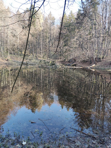 Žakylské Pohostinstvo - Gastronómia a pohostinstvo