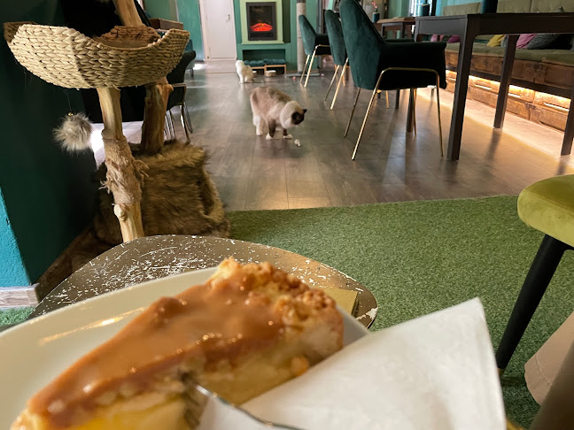 Comentarii opinii despre Mačacia Kaviareň Banská Bystrica