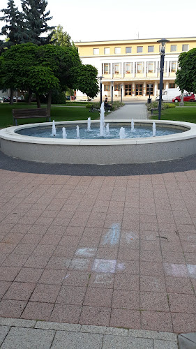 SNP, 916 01 Stará Turá