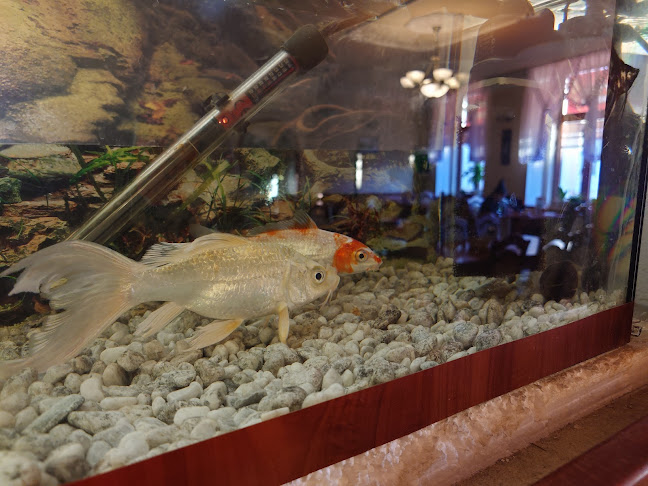 Ázijská reštaurácia ZLATÝ DRAK - Kežmarok