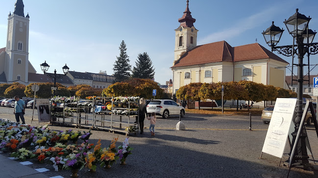 Comentarii opinii despre Čierny orol