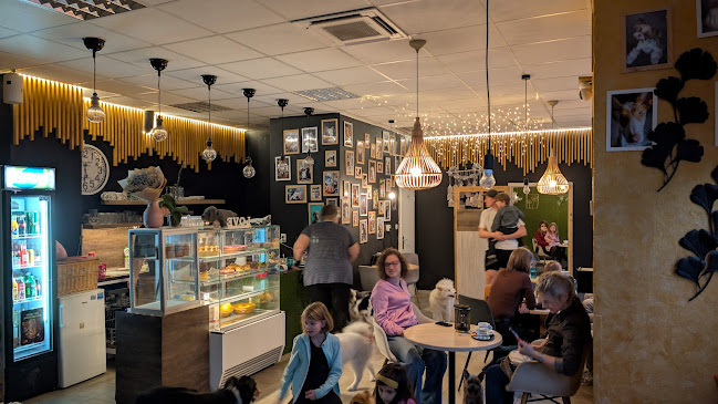 Psia škôlka a Caffetéria