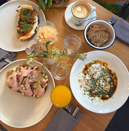 Comentarii opinii despre Otto!