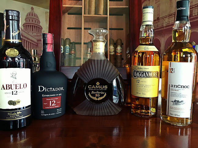 Opinii despre Kingston Bar în Žilina - Gastronómia a pohostinstvo