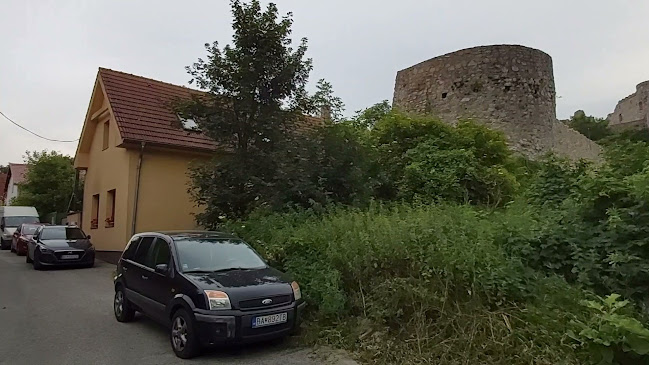 Opinii despre areál THEBENER - Devínsky ríbezlák în Devín - Gastronómia a pohostinstvo