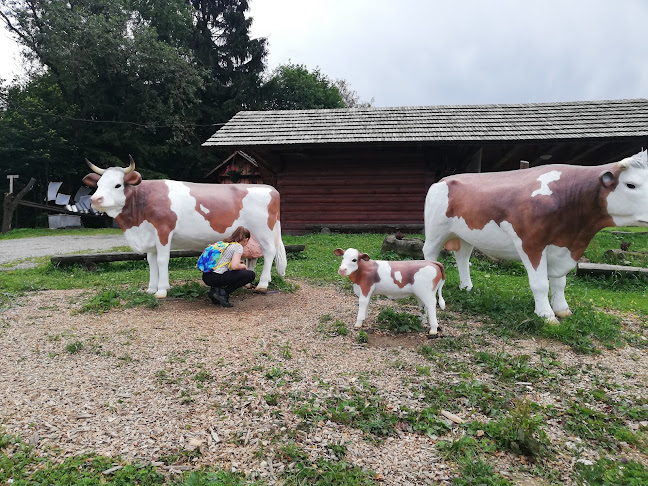 Comentarii opinii despre Salaš - koliba Syrex