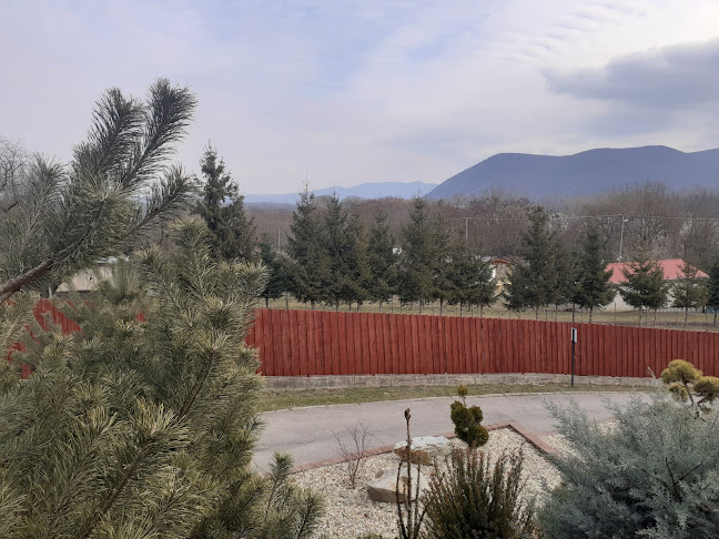 Reštaurácia a Penzión Modrá Ryba - Gastronómia a pohostinstvo