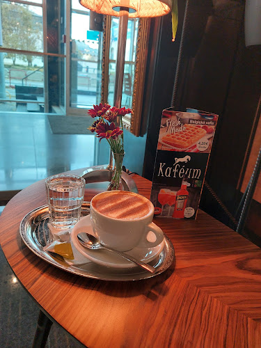 Comentarii opinii despre Kaféum