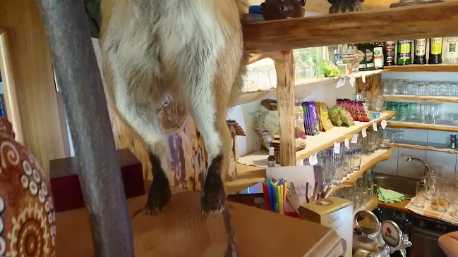 Opinii despre Penzión Šindlovec în Zuberec - Gastronómia a pohostinstvo