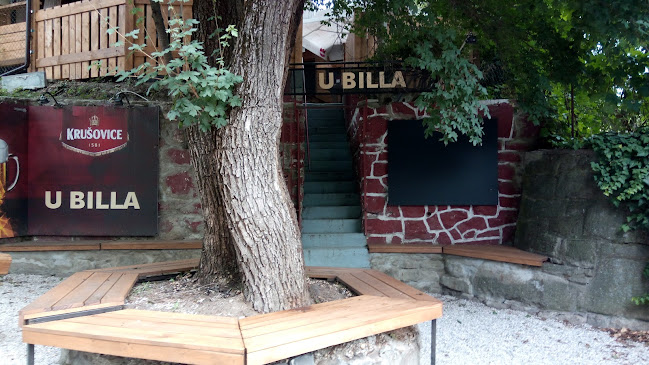 Comentarii opinii despre U Billa