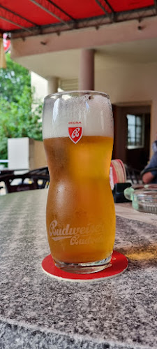 Comentarii opinii despre U Pribáka