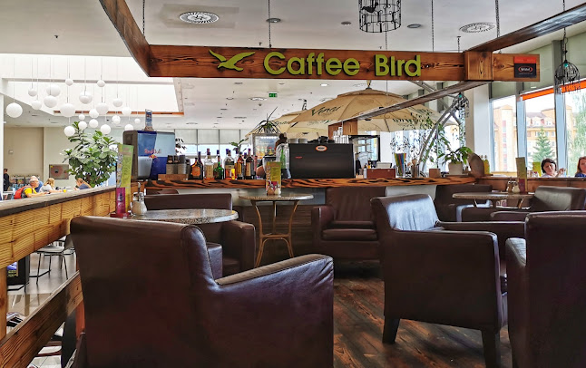 Comentarii opinii despre Caffee Bird