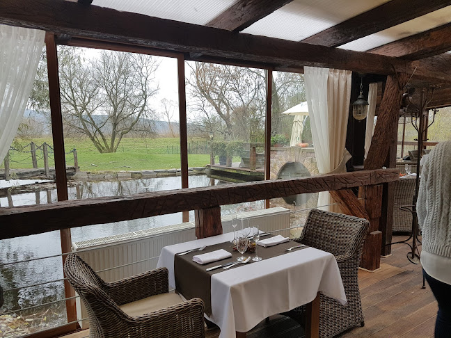 Comentarii opinii despre Pálenica Jelšovce