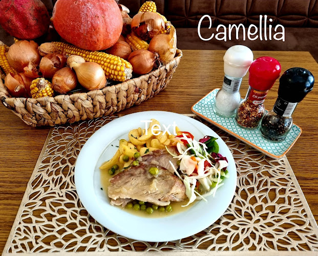 Opinii despre Camellia restaurant în Krásna - Gastronómia a pohostinstvo